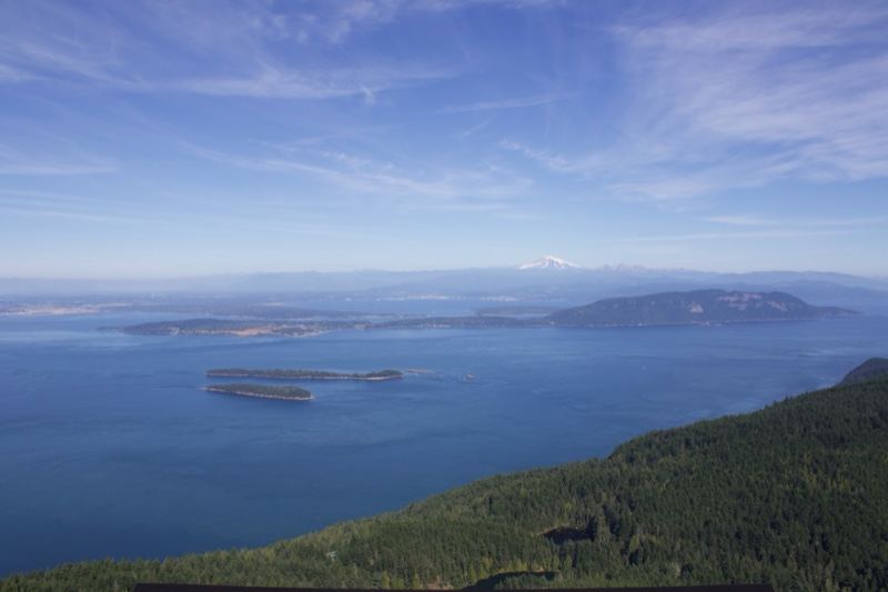 Coastal Islands Overlooking Forested Hillside