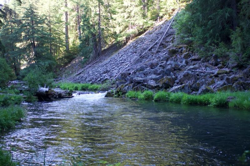 Forest River With Rocky Slope