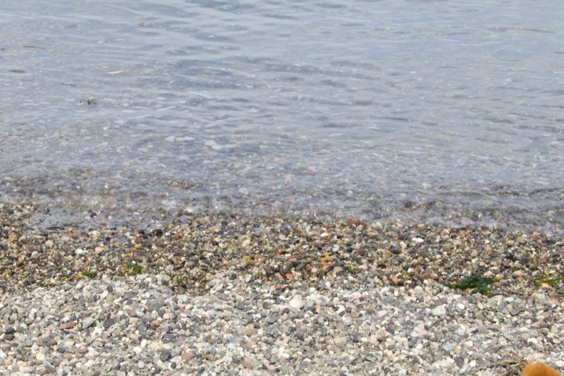 Pebble Shore with Clear Shallow Water