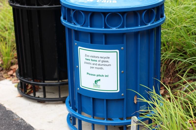 Blue Recycling Bin On Sidewalk