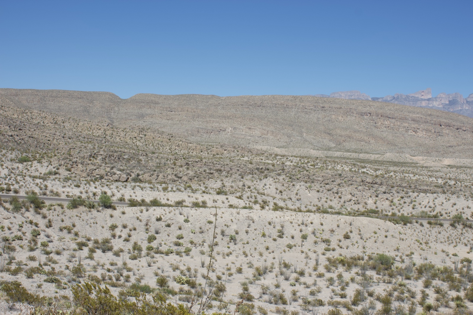 Arid Desert Valley with Distant Mountains