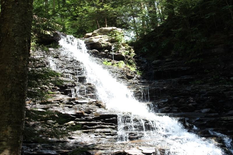 Forest Waterfall Cascading Down Rocks