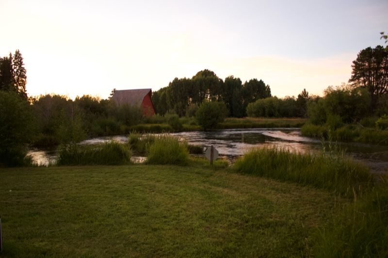 Sunset Pond and Grassy Field
