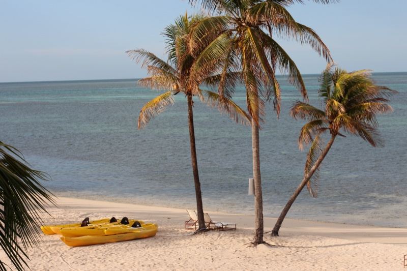 Yellow Kayaks on Tropical Beach