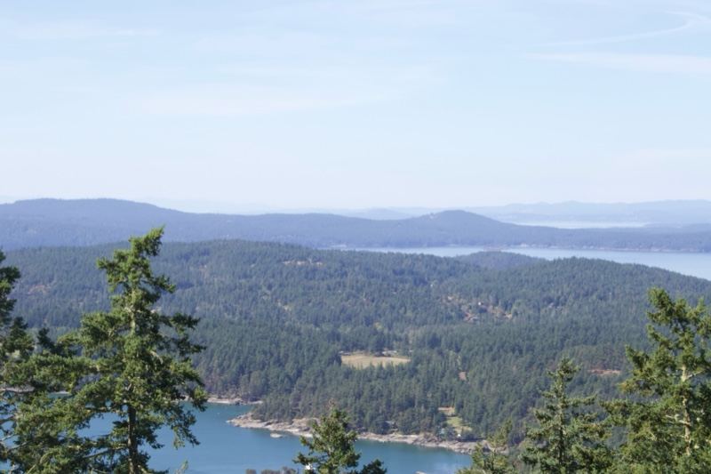 Forested Island View Over Water