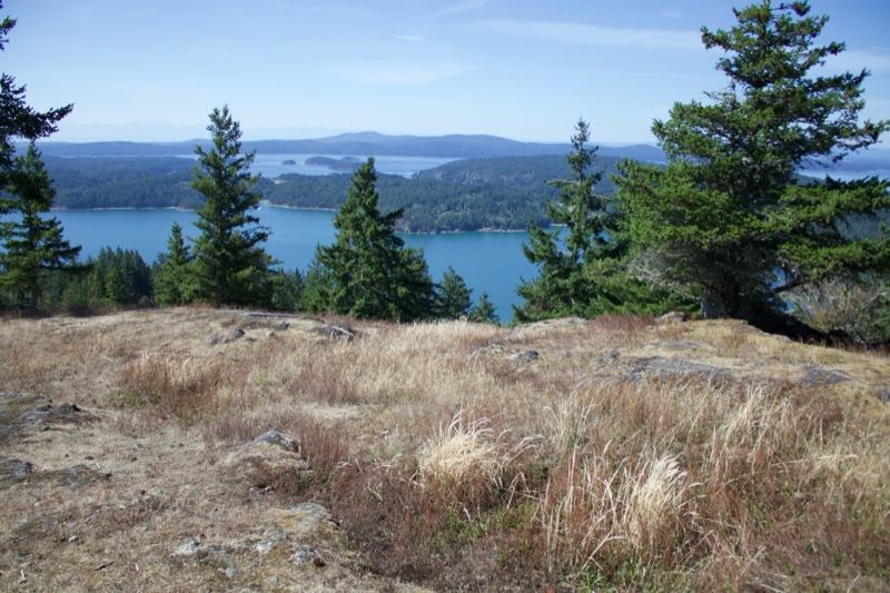 Coastal Hill Overlooking Water And Trees
