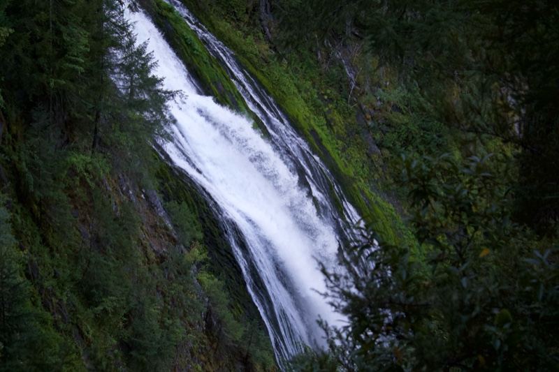 Forest Waterfall Cascading Down Cliff
