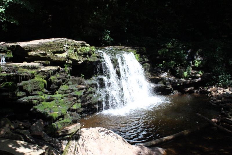 Mossy Forest Waterfall Cascade