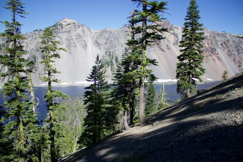Mountain Lake with Pine Trees
