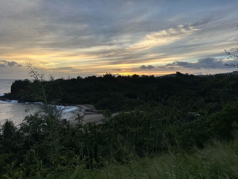 Coastal Sunset Over Forested Headland