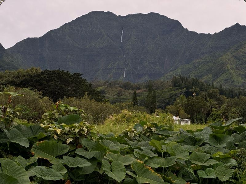 Lush Mountain Valley with Waterfall