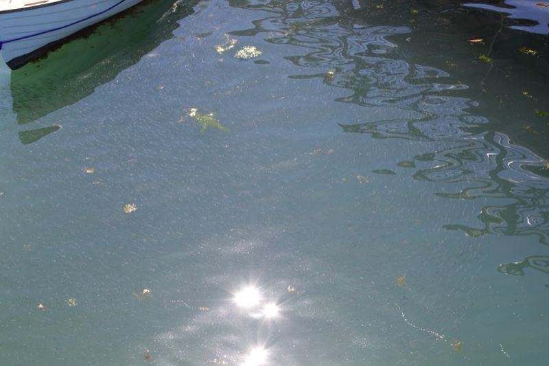Sunlit Water Near Boat Hull