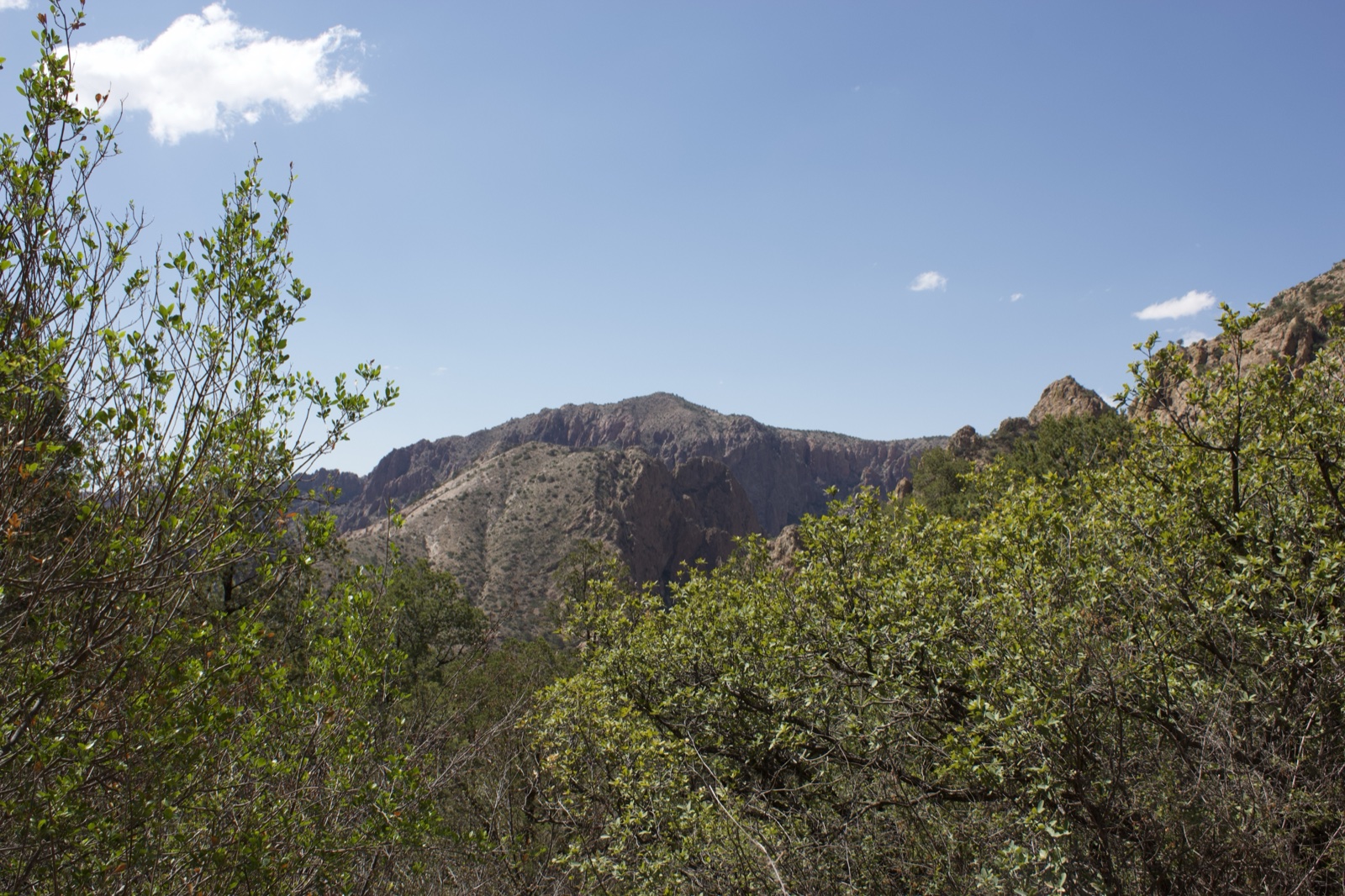 Mountain Valley Through Green Foliage
