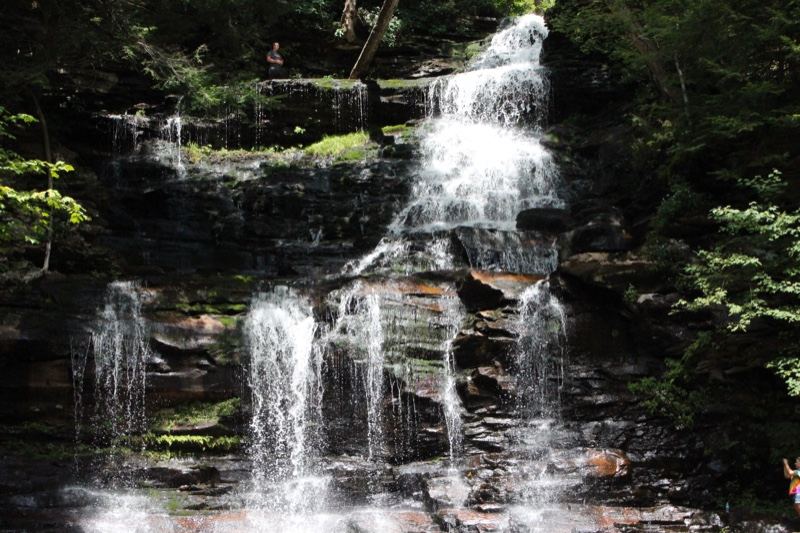 Forest Waterfall Cascading Down Rocks