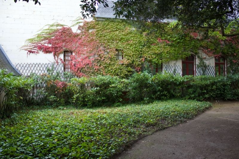 Ivy Covered Cottage Garden Path