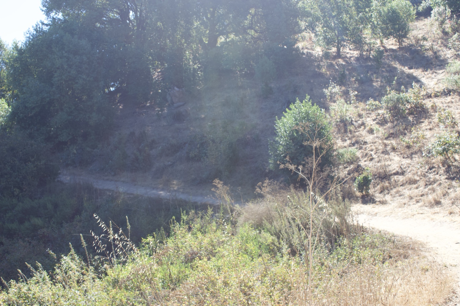 Untitled d62be0550c3e