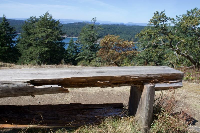 Rustic Log Bench Overlooking Coast