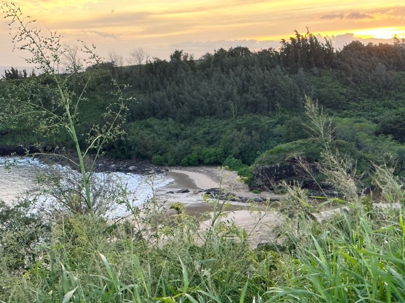Coastal Sunset Over Lush Green Hills