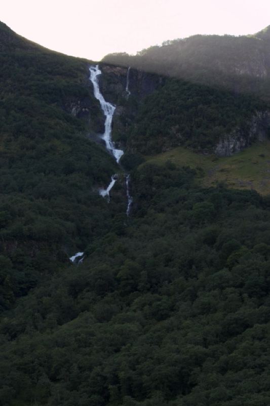 Mountain Waterfall Cascading Down Forest