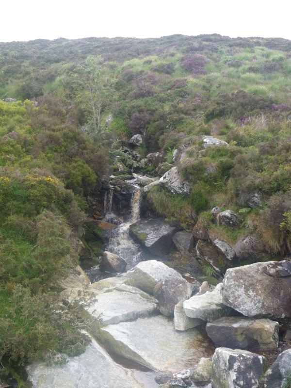 Moorland Waterfall Over Rocks