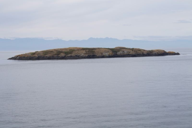Small Island in Calm Sea