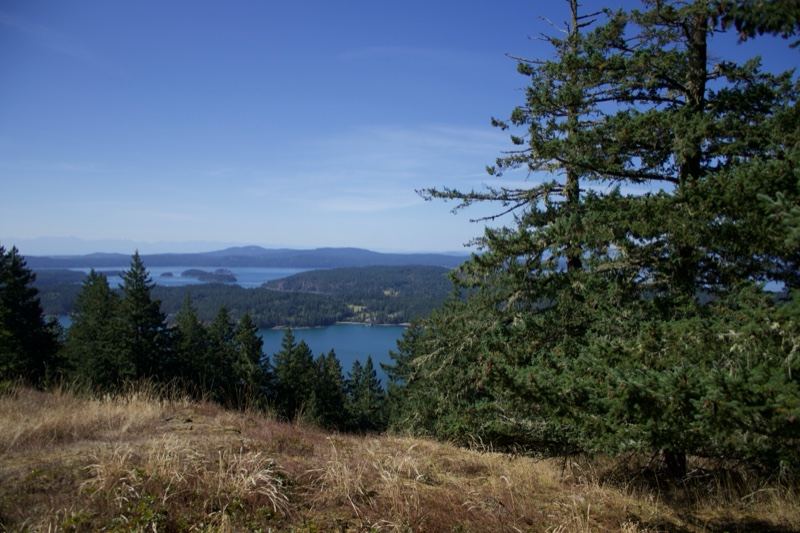 Coastal Hillside Overlooking Islands