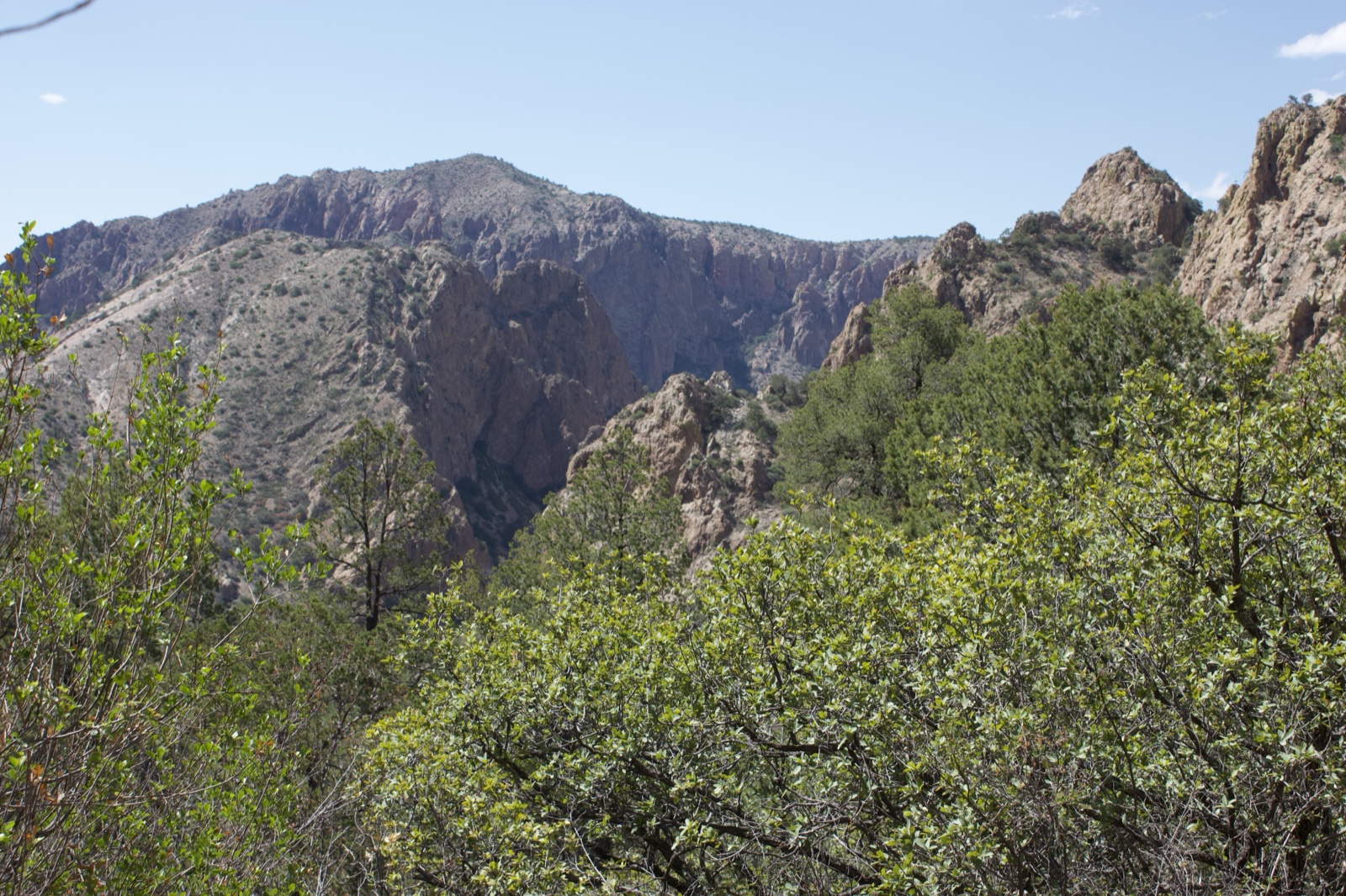 Rugged Mountains with Green Foliage