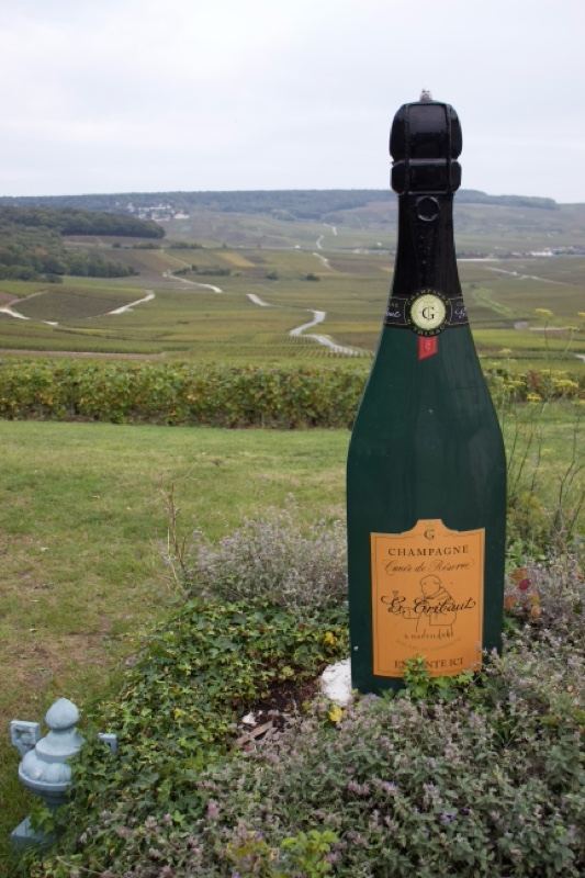 Giant Champagne Bottle in Vineyard