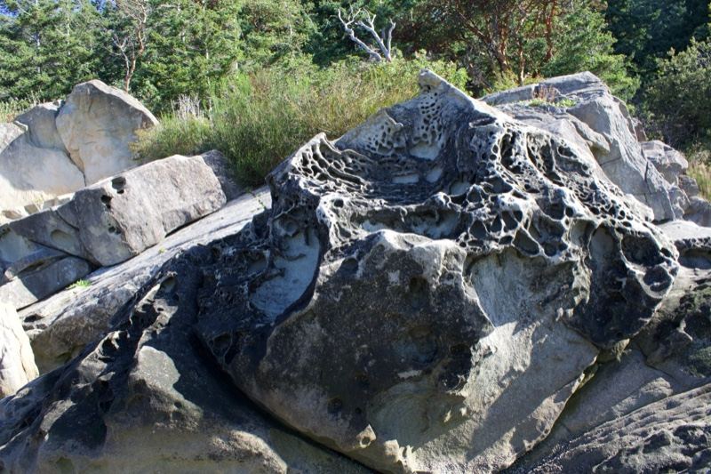 Weathered Coastal Boulder With Erosion Patterns