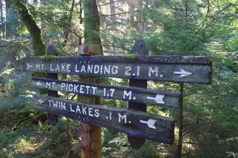 Forest Trail Signpost Distances