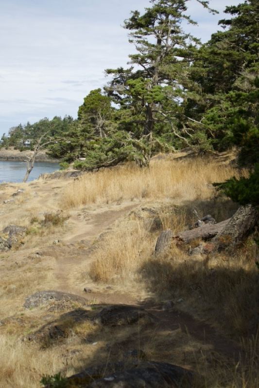 Coastal Trail Through Dry Grassland