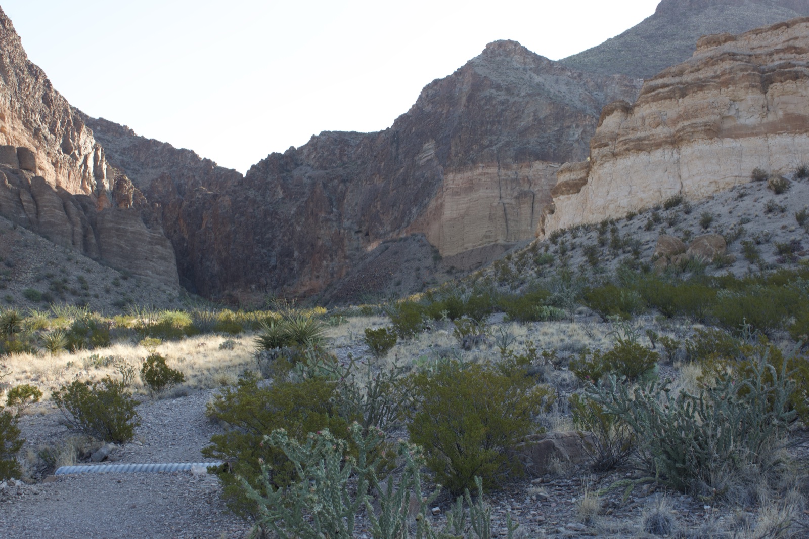 Desert Canyon with Rocky Cliffs