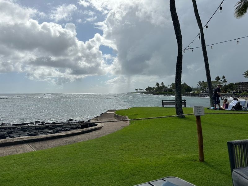 Coastal Lawn Overlooking Ocean