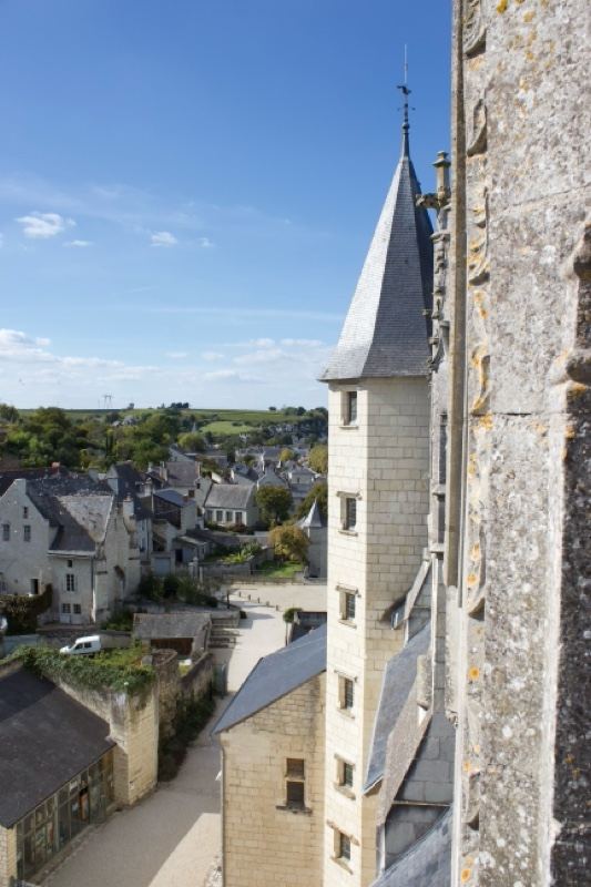 Castle Tower Overlooking Village