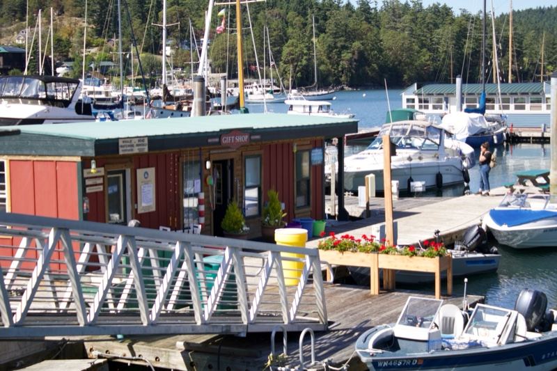 Marina Dock with Boats and Wooden Building
