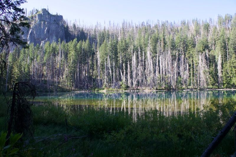 Alpine Lake Reflecting Forest and Rock