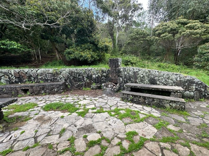 Stone Seating Area in Forest Clearing