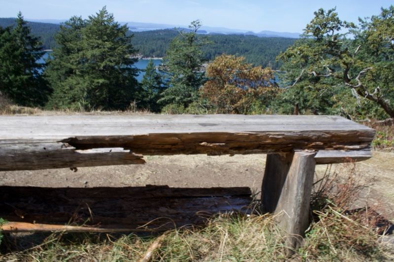 Weathered Wooden Bench Coastal View