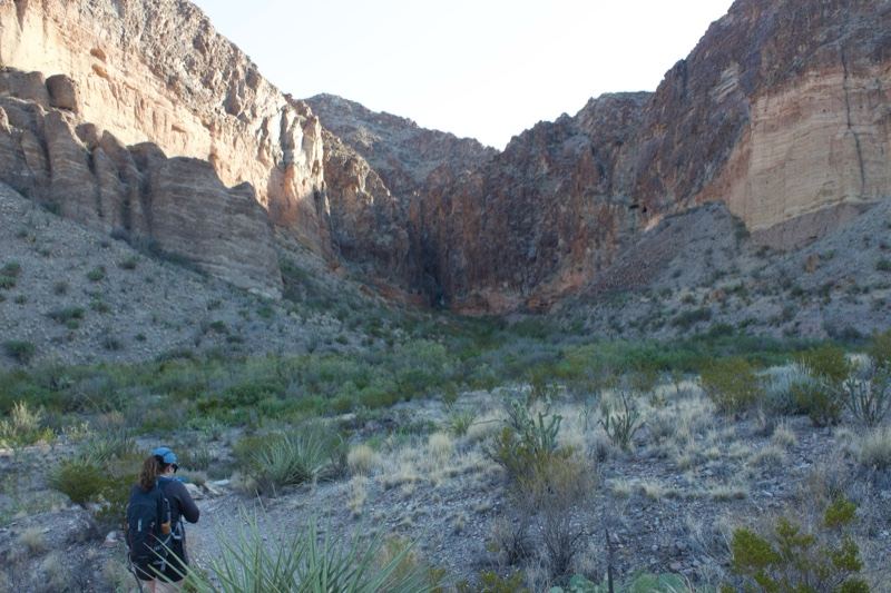 Desert Canyon with Hiker in Foreground