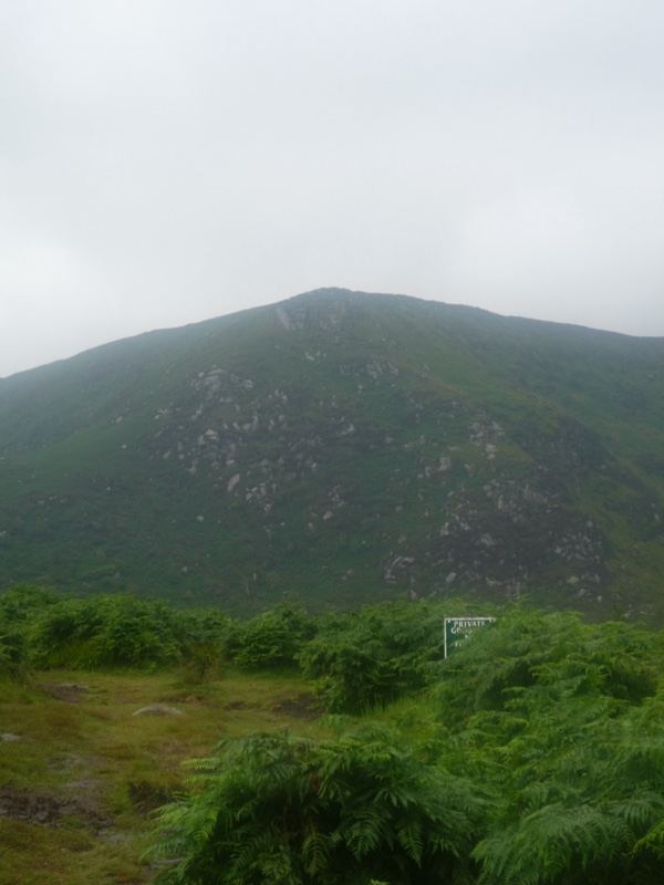 Overcast Mountain with Green Foliage