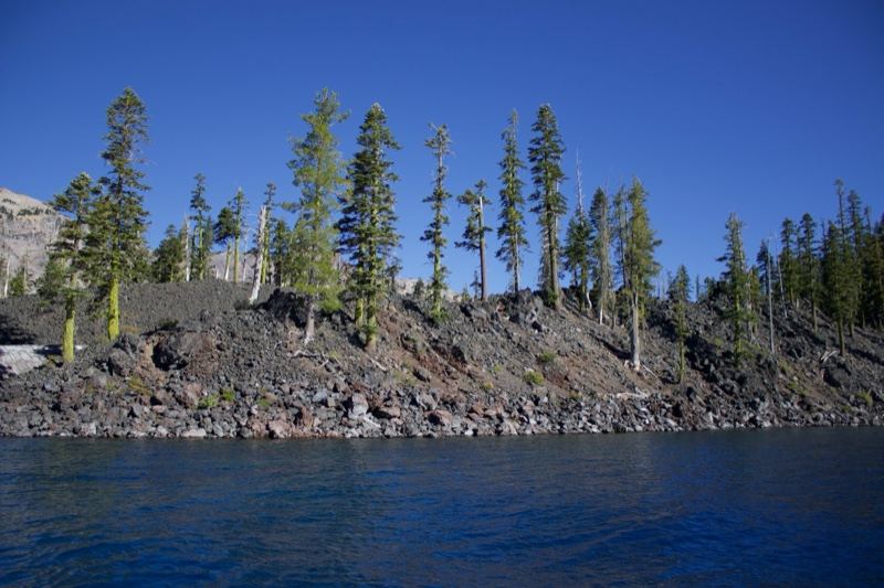 Lake Shore with Pine Trees and Rocky Cliff