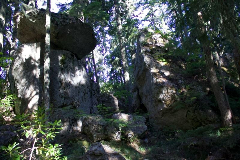 Large boulders in sunlit forest