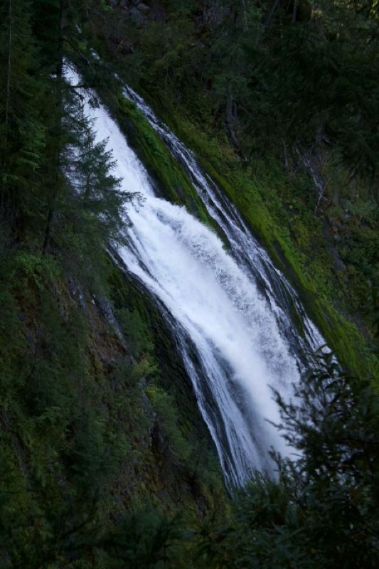 Forest Waterfall Cascading Down Cliff