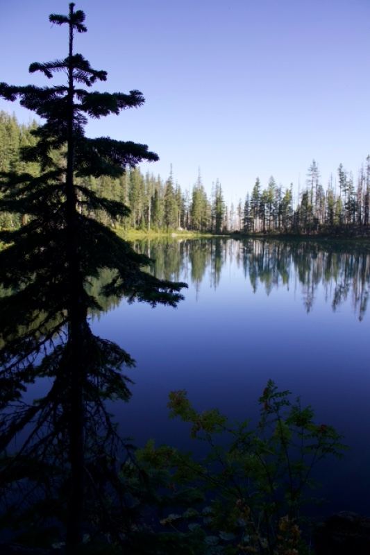 Serene Mountain Lake Reflection