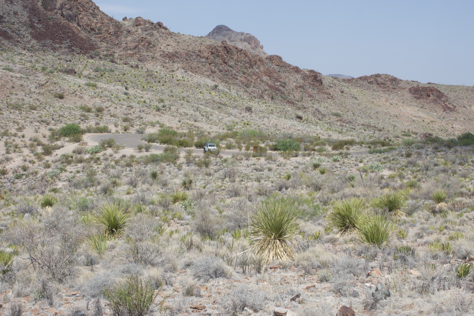 Arid Desert Hills with Yucca