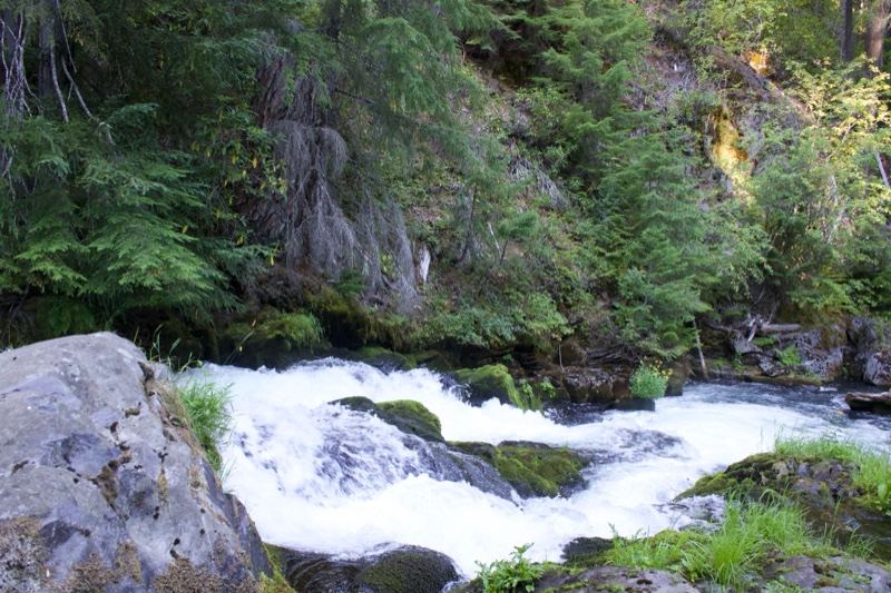 White Water Rapids in Forest