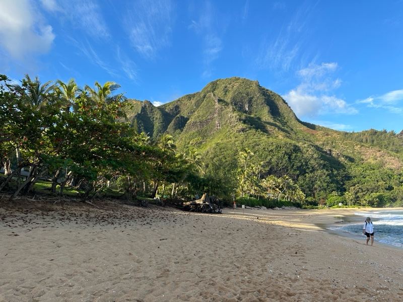 Tropical Beach With Lush Mountain