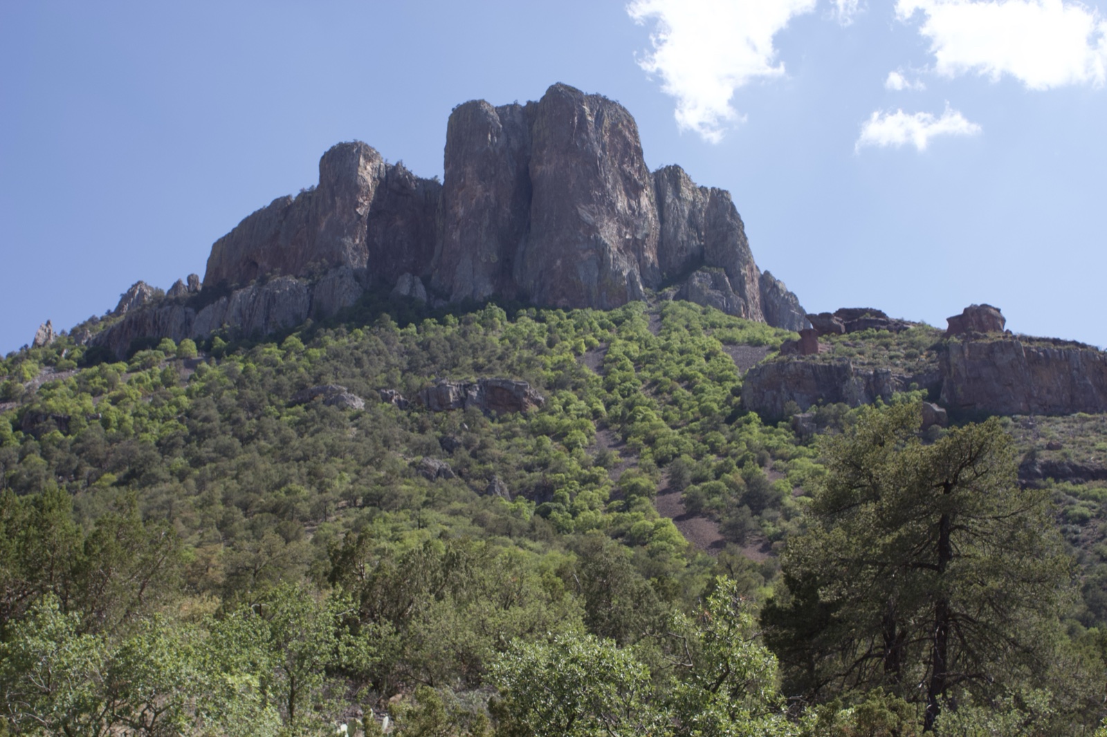 Rugged Mountain Peak Over Forested Hills