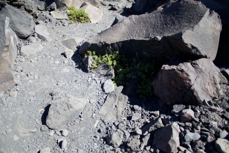 Rocky Terrain With Sparse Green Vegetation