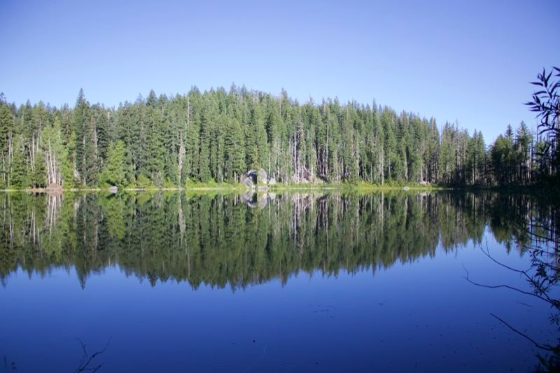 Serene Mountain Lake Forest Reflection